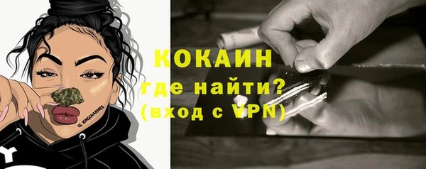 гидропоника Горнозаводск