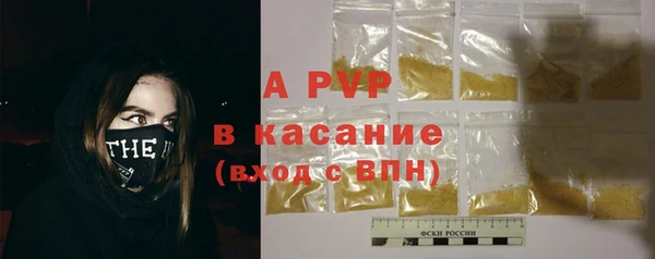 СК Горняк