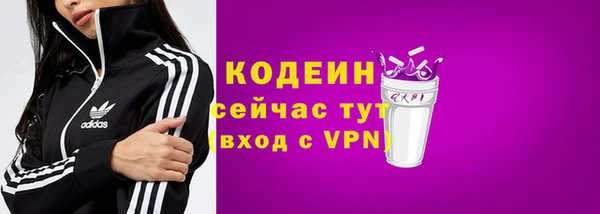 СК Горняк