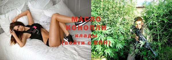 гидропоника Горнозаводск