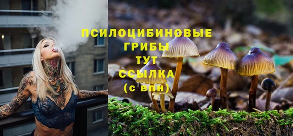 крисы Горно-Алтайск