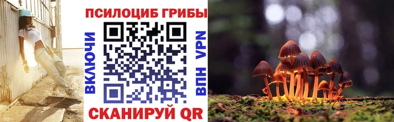 Псилоцибиновые грибы прущие грибы  площадка официальный сайт  Мариинский Посад  как найти закладки 